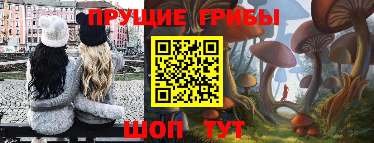 Майский  Псилоцибиновые грибы MAGIC MUSHROOMS  дарнет шоп  Вход с VPN  Псилоцибиновые грибы MAGIC MUSHROOMS 